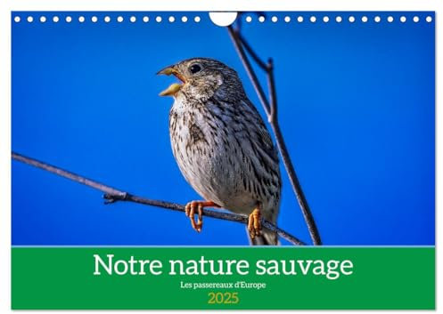 Notre nature sauvage, les passereaux d'Europe (Wandkalender 2025 DIN A4 quer), CALVENDO Monatskalender: A la découverte des habitants de nos campagnes.