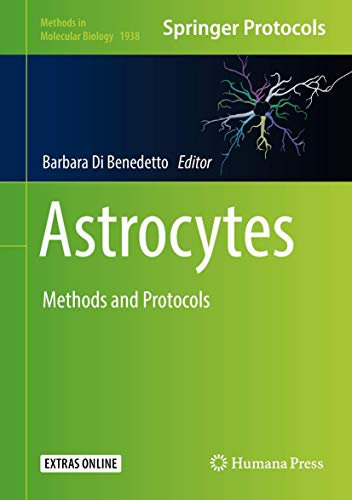 Astrocytes: Methods and Protocols (Methods in Molecular Biology, 1938, Band 1938)