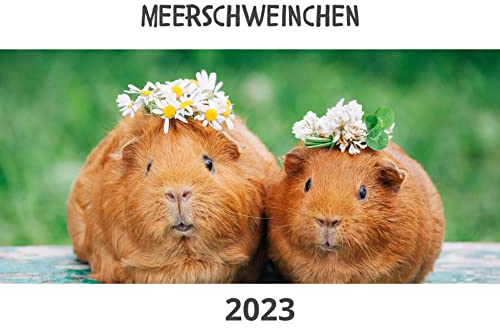 Meerschweinchen: Kalender 2023