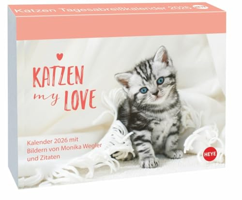 Katzen my love Tagesabreißkalender 2026: Samtpfoten in Aktion! Kleiner Tierkalender mit täglich neuen Bildern und inspirierenden Zitaten. Ein Muss für ... 14 x 11 cm (Tagesabreißkalender Heye)