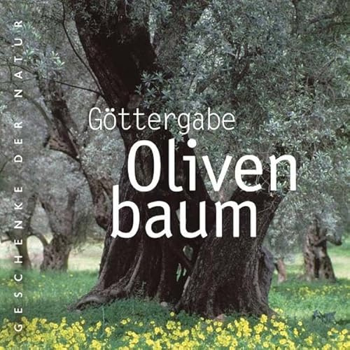 Göttergabe Olivenbaum