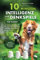 10 Minuten Intelligenz- und Denkspiele für Hunde – 111 abwechslungsreiche Übungen für die geistige und körperliche Fitness deines Hundes (Hundespiele und Hundeerziehung, Band 1)