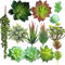 Aisamco 14 Piezas de suculentas Artificiales, una selección suculenta sintética, Falso Ramo suculento Cadena de Perlas Amantes de lágrimas Planta Arreglo de cabañas costeras Mezclado Echeveria