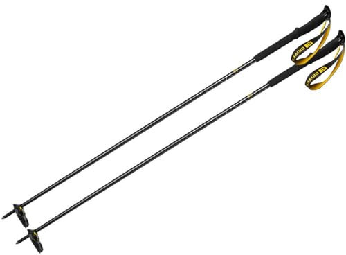 Grivel Unisex für Erwachsene Ski Tour 120 cm Bastón Freeride (Par) BASONES ONE-Piece, transparent, 120