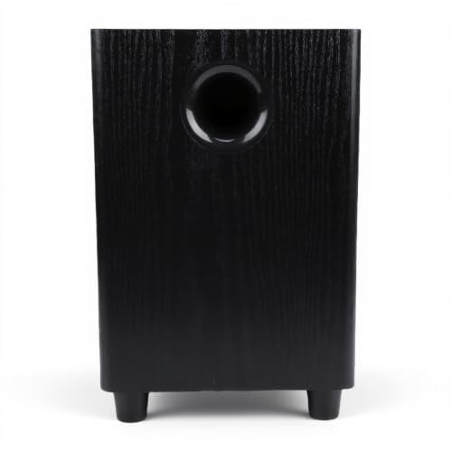 Annadue Subwoofer Speaker – 100W 6.5-inch Home Subwoofer Amplifier, Deep Bass Sound, Easy Set-up & Control, Compact, Passive Woofer for Home Theater Party