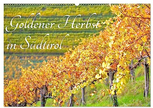Goldener Herbst in Südtirol (Wandkalender 2026 DIN A2 quer), CALVENDO Monatskalender: Herbstliche Impressionen aus Südtirol. (CALVENDO Orte)