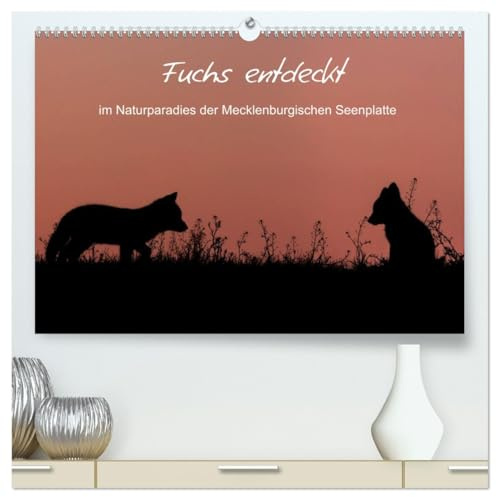 Fuchs entdeckt - im Naturparadies der Mecklenburgischen Seenplatte (hochwertiger Premium Wandkalender 2026 DIN A2 quer), Kunstdruck in Hochglanz: ... Mecklenburgischen Seenplatte (CALVENDO Tiere)
