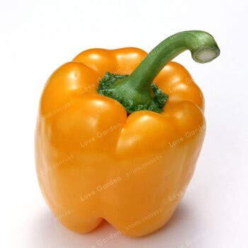 . 100 Stück 5 Farben Pfeffer Gemüse Chili Süße Bunte Zier Pfeffer Skgs Essbare Balkon Pflanze: 4