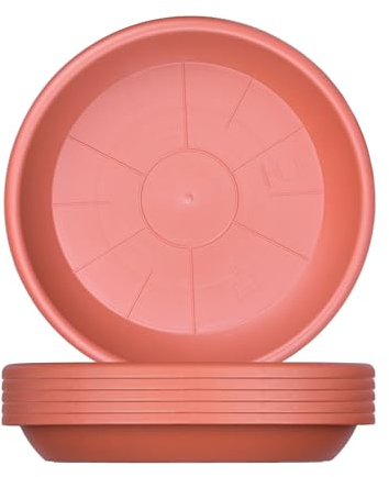 BigDean 6X Blumentopf Untersetzer Ø 19 cm Farbe Terrakotta Kunststoff Blumenuntersetzer Blumentopfuntersetzer passend zu Ø 20 cm Blumentöpfen