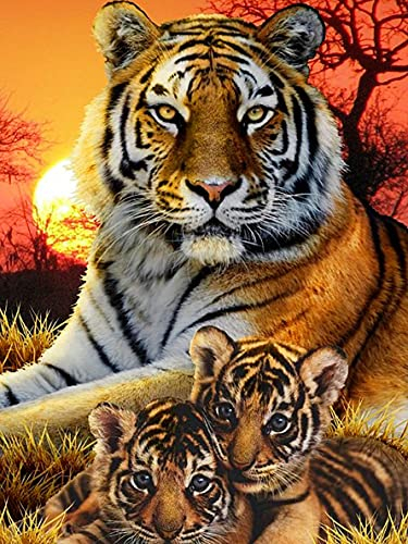 Sugamm DIY Diamond Painting Tiger, komplettes Set, 5D-Stickerei, Diamantmalerei, Tier, komplettes Set, Kreuzstich, Strass, Stickerei, Diamant-Kunsthandwerk für Zuhause, Wanddekoration, 30 x 40 cm