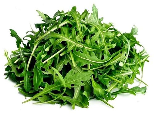 Semillas Rúcula Comestible - Semillas Plantas Aromáticas - Semillas de Hortalizas - Rúgula