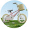 JingYi Store Fahrräder Aus Magnesiumlegierung Einräder Outdoor-Fahrräder Robuste Fahrräder Bergsteigerfahrräder(Color:Pink,Size:16 IN)