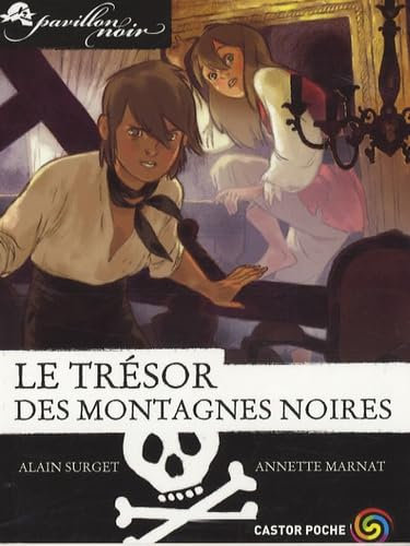 Pavillon noir, Tome 11 : Le trésor des montagnes noires