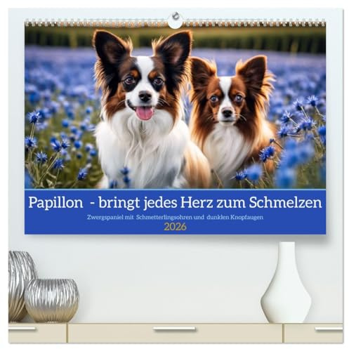 Papillon - bringt jedes Herz zum Schmelzen (hochwertiger Premium Wandkalender 2026 DIN A2 quer), Kunstdruck in Hochglanz: Zwergspaniel mit Schmetterlingsohren und dunklen Knopfaugen (CALVENDO Tiere)