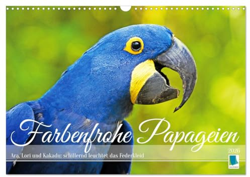 Farbenfrohe Papageien (Wandkalender 2026 DIN A3 quer), CALVENDO Monatskalender: Ara, Lori und Kakadu: schillernd leuchtet das Federkleid (CALVENDO Tiere)