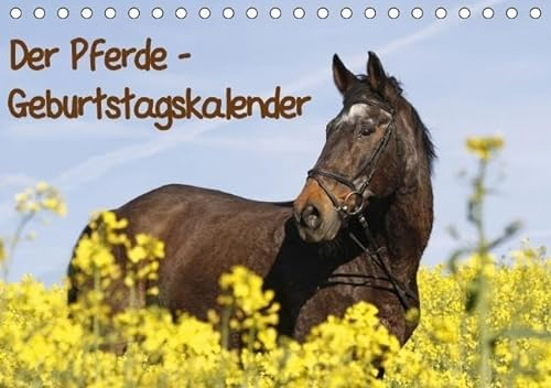 Der Pferde-Geburtstagskalender (Tischkalender immerwährend DIN A5 quer): Immerwährender Geburtstagskalender (Tischkalender, 14 Seiten) (CALVENDO Tiere) [Kalender] [Jun 10, 2013] Lindert-Rottke, Antje