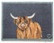 HUG RUG Washable Dirt Trapper Door Mat Kitchen Hallway Doorway, Made in the UK, Highland 1 65X85