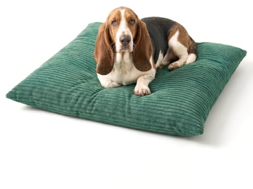 4L Textil Molly Hundebett Hundekissen groß Cord | 120x100 cm | Grün | Abnehmbarer Bezug | Mit Reißverschluss | Maschinenwaschbar | Robust | Mit Bezug