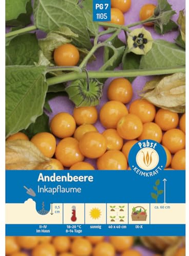 Pabst Keimkraft - Andenbeere Inkapflaume Samen - 171105