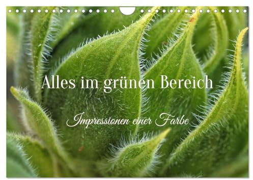 Alles im grünen Bereich (Wandkalender 2026 DIN A4 quer), CALVENDO Monatskalender: Impressionen in grün (CALVENDO Natur)