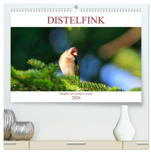 Distelfink (hochwertiger Premium Wandkalender 2026 DIN A2 quer), Kunstdruck in Hochglanz: Distelfink in Park und Garten (CALVENDO Tiere)