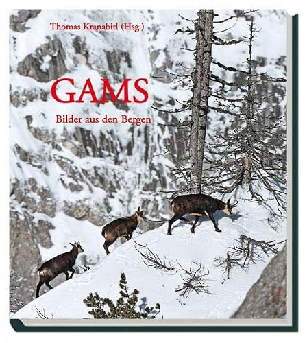 Gams: Bilder aus den Bergen