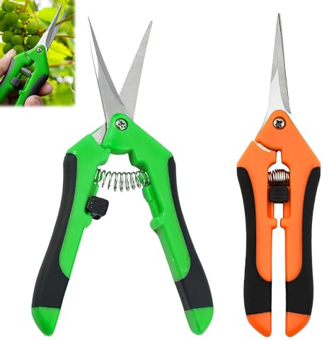 LANAFAY 2pcs Ernteschere, 165mm Pflanzenschere mit Geraden Edelstahlklingen, Feststellgriff, Bonsai Schere mit Feder, Blumenschere für Blumen Rosen Früchte Pflanzen Garten, (Orange+Grüne)