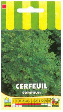 Les Graines Bocquet - Graines De Cerfeuil Commun - Graines Potagères À Semer - Sachet De 5Grammes