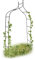 Set de 3 Arches à rosiers courbée avec Pointe, métal 2,4 m, Arceau de Jardin, obélisque, tuteur Plantes grimpantes, Vert