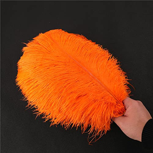 10 Stück 30-35cm Natürliche Straußenfedern,Strauß Feder zum Basteln,Bastel Federn für DIY Traumfänger Zubehör,Heimdekoration,KostüMe,Tischdeko Hochzeit Party Fest Hüte Kleidung Dekoration,Orange