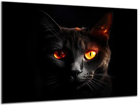 Munera Design - Bild 40x60 - Katzen-Bilder schwarze Katze leuchtende Augen - Wand-Bilder Wohnzimmer
