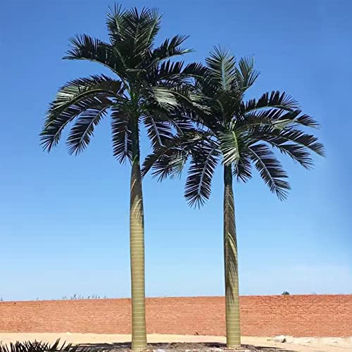 Arbre végétal Artificiel de Palmier Tropical avec Tronc Debout, Palmiers artificiels pour l'extérieur, Faux Palmier pour Le Jardin, décor de Palmier 2m + 3m