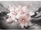 Runa Art Fototapete Blumen Lilien 352 x 250 cm Vlies Tapeten XXL Moderne Wandtapete Wohnzimmer Schlafzimmer Schwarz Rosa 9434011b