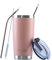 FAB | Vacuum Insulated Tumbler with Lid & Straw 560ml (20oz)| Reusable Stainless Steel Flask for Hot & Cold Drink | Iced Coffee Cup | Travel Mug | BPA Free - Silver Pink