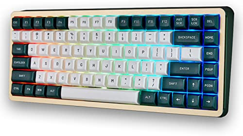 DRAOZA Keycaps Cherry Blossom Height for 61/64/68/84/87/104/108 Cherry Mx Switch ISO ANSI Layout Mechanical Keyboard (Green+White)