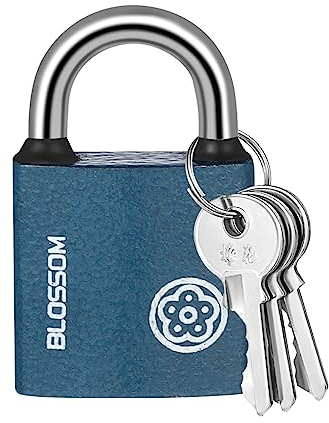 RosewineC Heavy Duty Padlock, Iron Padlock with 3 Keys, Heavy Duty Padlock Outdoor Weatherproof, Security Padlock for Shed, Warehouse, Fence, Office, Black, 38MM