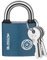 RosewineC Heavy Duty Padlock, Iron Padlock with 3 Keys, Heavy Duty Padlock Outdoor Weatherproof, Security Padlock for Shed, Warehouse, Fence, Office, Black, 38MM