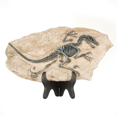 1st Heaven Dinosaurier-Skelett aus Harz – Deko-Fossil im Vintage-Stil, simuliertes Dino-Fossil für Zuhause & Büro, originelles Geschenk für Erwachsene (Stil A)
