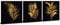 3 Panels Modern Leaf Wall Art Bathroom Wall Decor Modern Flowers Canvas Pictures Black and Gold Botanical Paintings Prints Poster Minimalist Nature Plant Artwork for Living Room Decorations 12x12”