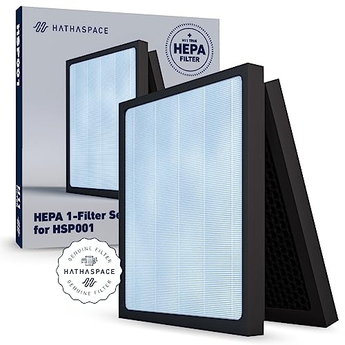 Hathaspace Smart True HEPA Air Purifier Replacement Filters, 1 Cold Catalyst + Activated Carbon Filter & 1 Antibacterial + True HEPA Filter, Model HSP001 (1 Set)
