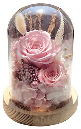 XYXH Rose Eternelle sous Cloche, La Belle et la Bête Enchanted Rose Élégant Dôme, Fleurs Immortelles Haut de Gamme Décor Cadeaux pour Saint Valentin Fête