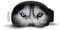 SOGGLE Skibrillen Schutz Überzug aus Mikrofaser (one size), Farbe:eyes husky
