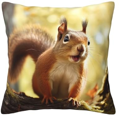 OPSREY Kissenbezug mit lustigem Eichhörnchen-Druck, 40,6 x 40,6 cm, weich, langlebig, quadratisch, dekorativer Kissenbezug für Bett, Sofa, Schlafzimmer