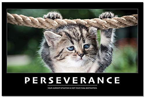 Poster, Motiv Perseverance, glänzend, 40,6 x 61 cm