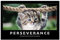 Poster, Motiv Perseverance, glänzend, 40,6 x 61 cm