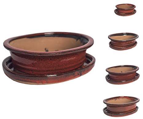 Keramik Bonsai Topf in verschiedenen Größen - Rot - Hochwertiger Blumentopf mit Untersetzer Schale Banzai Bonsai Bonsai Indoor/Outdoor (16 x 12,5 x 4 cm)