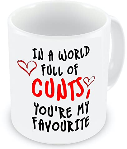 VIROSA Funny Rude Mug – in a World Full of C*NTS, You’re My Favourite – Hilarious Gift for Friends, Coworkers, Secret Santa, Birthday, Xmas, Office Banter – 11oz Ceramic Coffee Cup