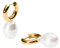 Purelei® Seaside Créoles avec perles de coquillage – Boucles d'oreilles en acier inoxydable en or, argent ou or rose – Boucles d'oreilles élégantes intemporelles pour femme avec perles Seashell