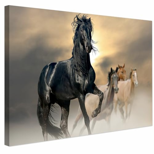 AREDE Bilder Wanddeko auf Leinwand Schwarzes Pferd Art Decor Wohnzimmer Deko Zimmer Wandbilder Modern Bild | 90 x 60 cm | Fertig zum aufhängen