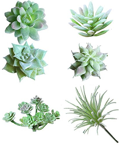 Soviton Mini Sukkulenten, künstliche Sukkulenten, unbepflanzt in grünem Blumenarrangement, 6 Stück